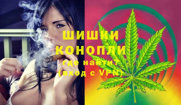 сатива Богданович