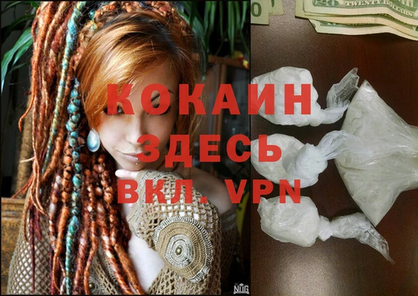 соль ск Белокуриха