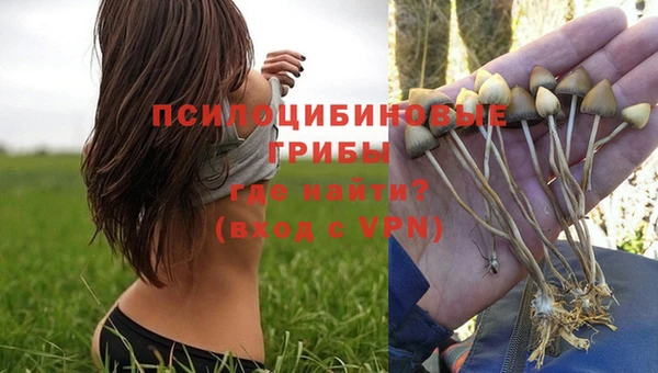 ешки Богородицк