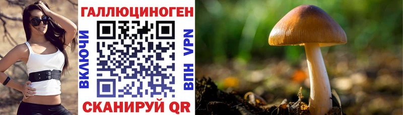 кракен ССЫЛКА  Нарьян-Мар  Псилоцибиновые грибы мухоморы  наркотики 